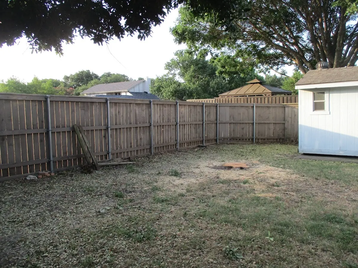 Cleared yard after professional tree removal in Frankfort